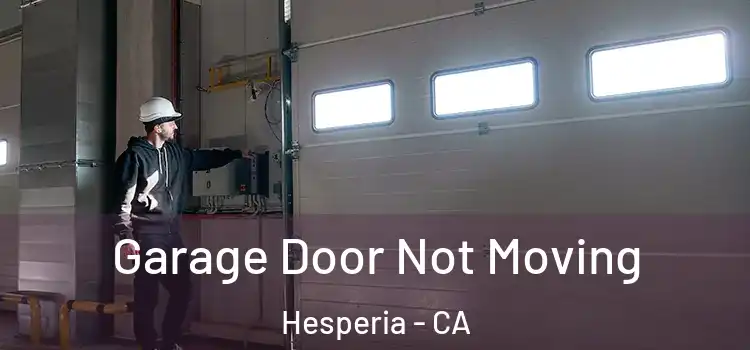  Garage Door Not Moving Hesperia - CA