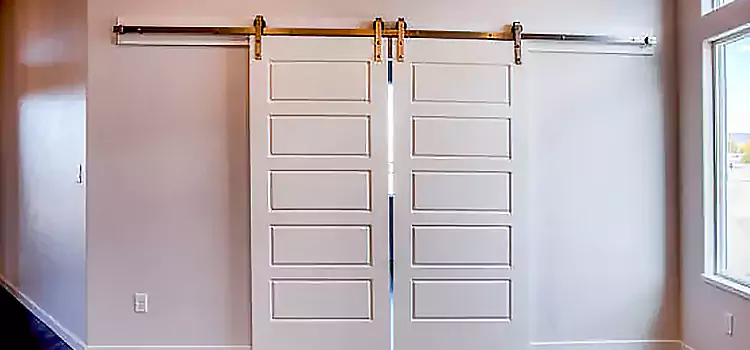 Glass Barn Door with Installation Hardware Kit Hesperia
