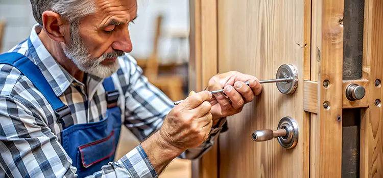 Mortise Replacement Lock Hesperia